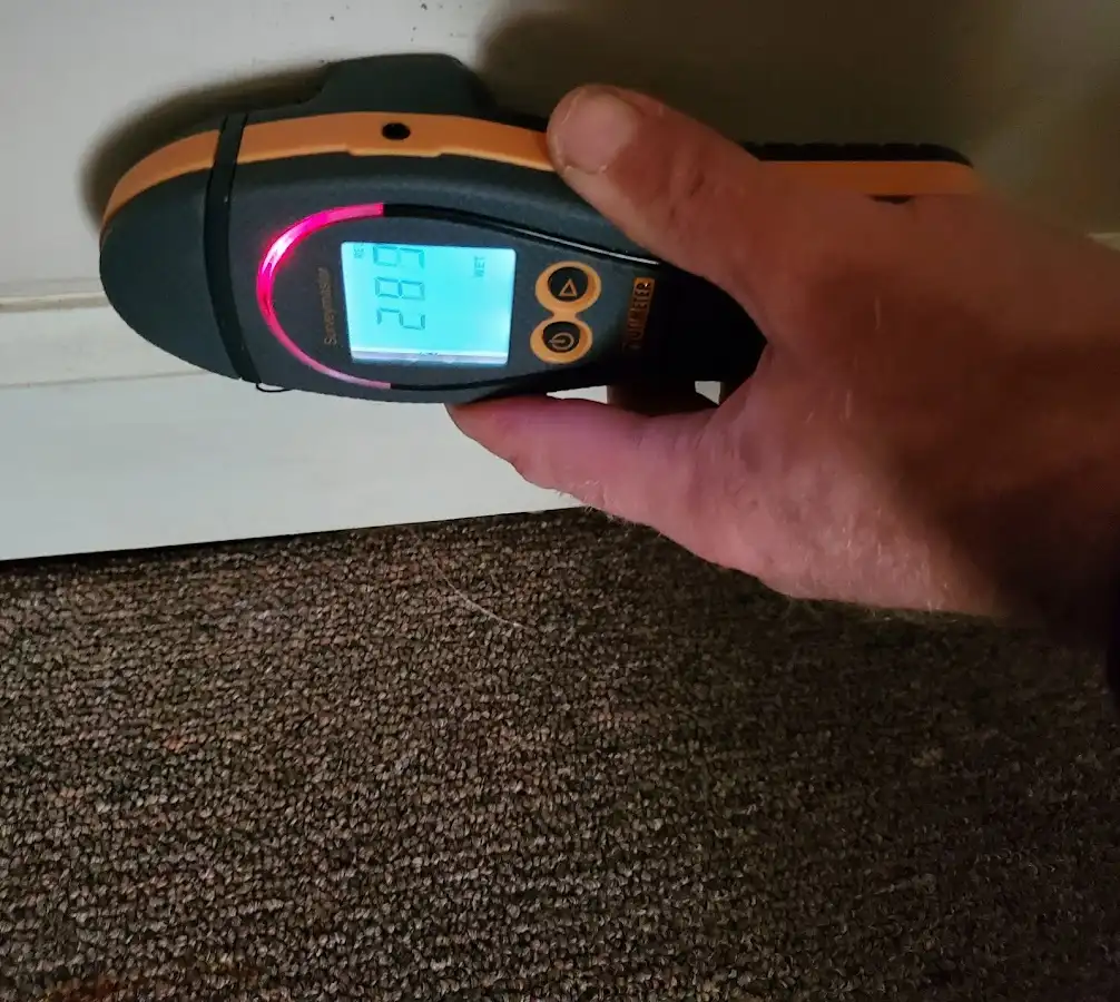 Moisture detection at baseboard during Burst Pipe Cleanup in Maplewood